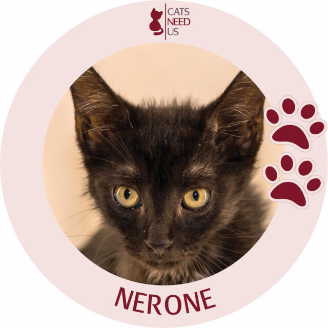 Nerone-CAT