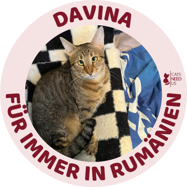 Davina - Für immer