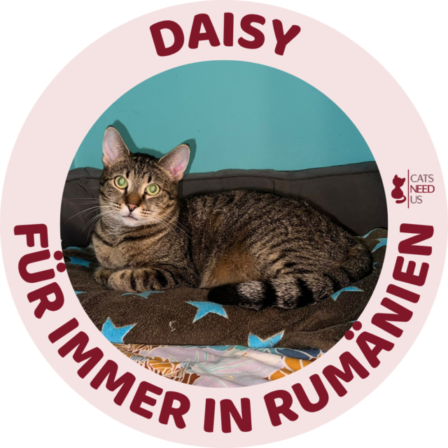 Daisy für immer