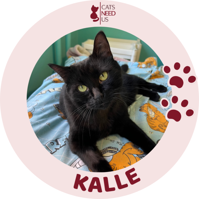 KALLE