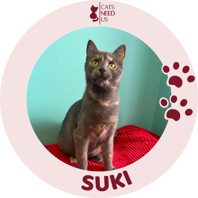 SUKI
