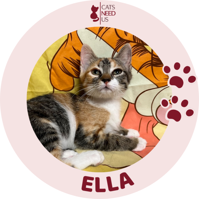 ELLA