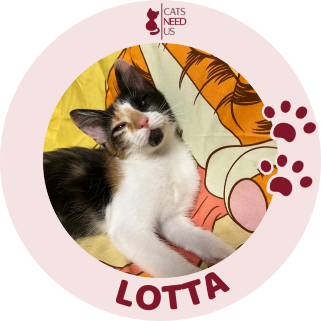 LOTTA