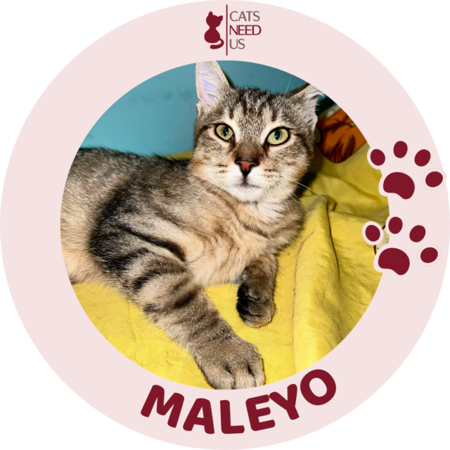 MALEYO
