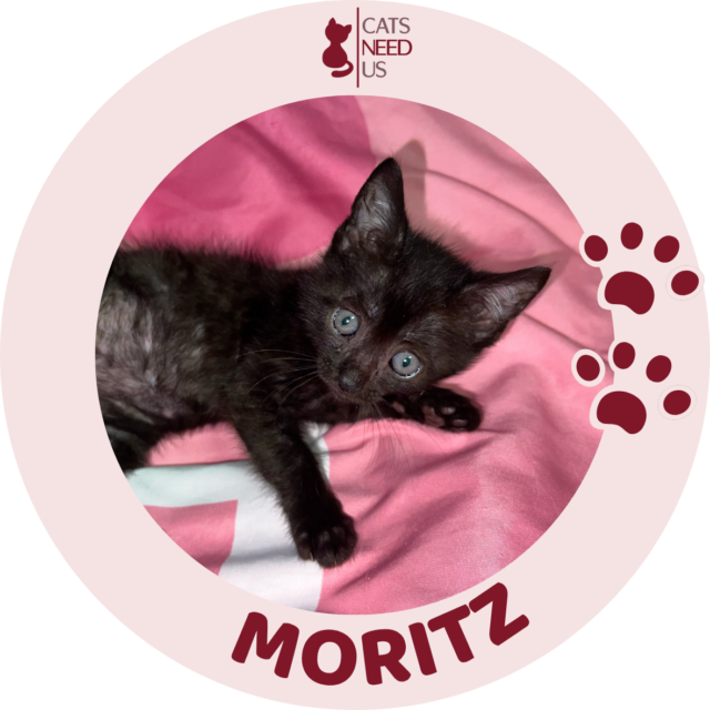 MORITZ