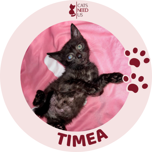 TIMEA